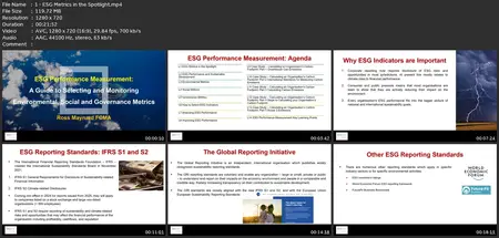 Esg Performance Measurement