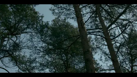 Anna S03E06