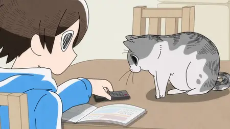 Nights With a Cat - S01E14 - Night 14 The Urge to Put Stuff on Cats