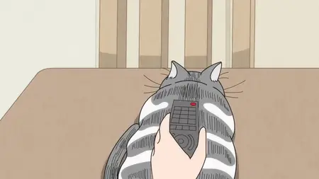 Nights With a Cat - S01E14 - Night 14 The Urge to Put Stuff on Cats