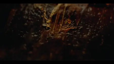 The Walking Dead: Daryl Dixon S03E07
