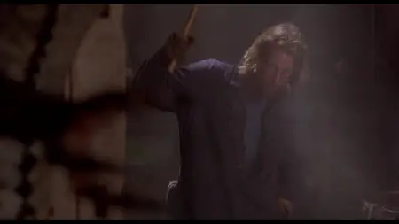 Fly Away Home (1996)