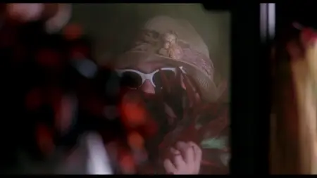 Fly Away Home (1996)