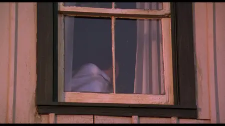 Fly Away Home (1996)
