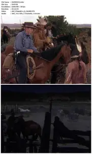 Pony Express (1953)