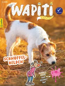 Wapiti - November 2025