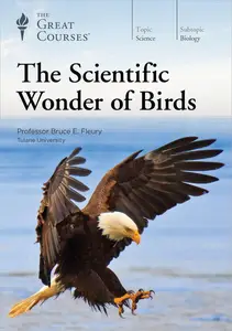 TTC Video - The Scientific Wonder of Birds [Repost]