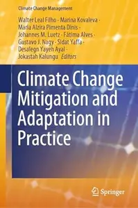 Climate Change Mitigation and Adaptation in Practice