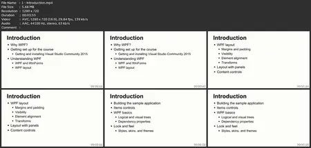 The Ultimate Windows Presentation Foundation (Wpf) Course