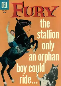 Fury (Brave Stallion) - Complete Season 1 (1955)