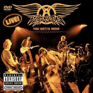 Aerosmith: Discography & Video (1973-2013) [21CDs, 18LPs, 13DVDs, Blu-ray]