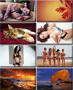 LIFEstyle News MiXture Images. Wallpapers Part (774)