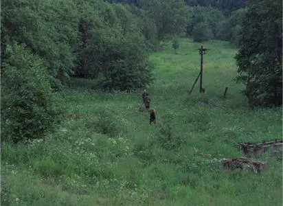 Stalker (1979) [The Criterion Collection]