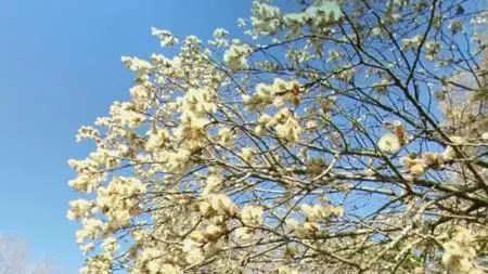 BBC - Chris Packham: The Walk that Made Me (2021