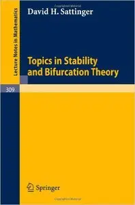 Topics in Stability and Bifurcation Theory