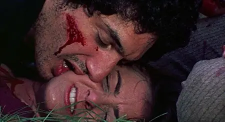 The Last House on the Left (1972)