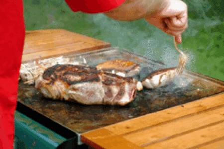 Recettes au barbecue
