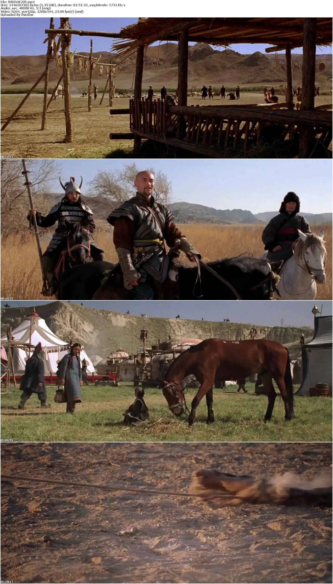 Nomad: The Warrior (2005)