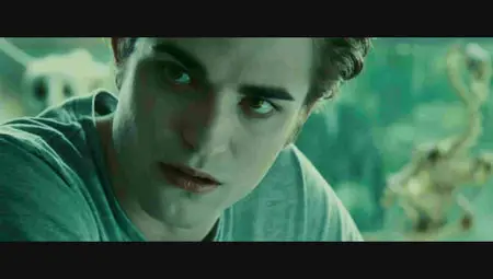 The Twilight Saga: Twilight (2008)