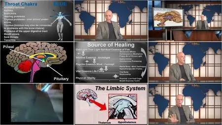 Quantum University - Quantum Hormonology