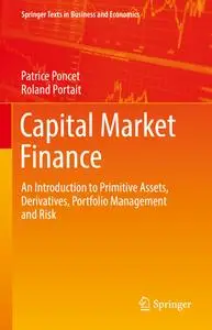 Capital Market Finance: An Introduction to Primitive Assets