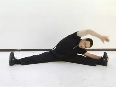 Elastic Steel - Everything You Ever Wanted To Know About Splits [repost]