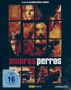 Amores Perros (2000)