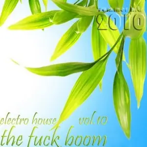 Electro-House The Fuck boom vol.10 (2010)