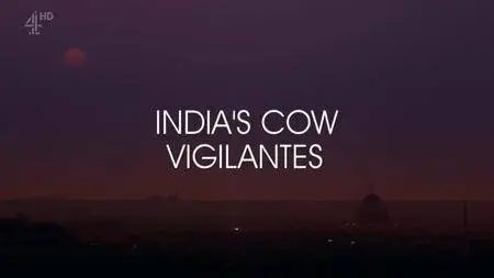 Channel 4 - Unreported World: India's Cow Vigilantes (2017)