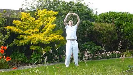 The Eight Exceptional Vessels Qigong