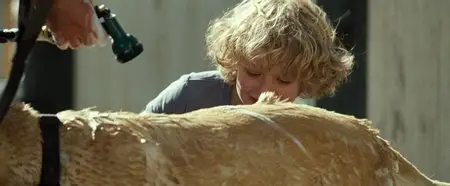 The Lucky One (2012)