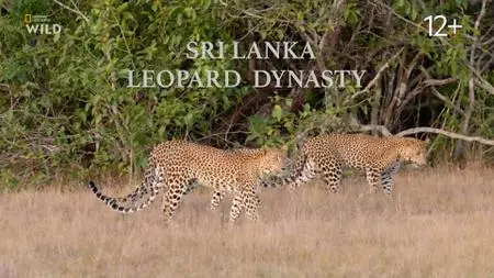 NG. - Sri Lanka: Leopard Dynasty (2022)
