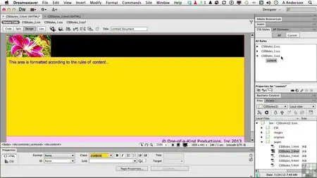 Learning Adobe Dreamweaver CS6 Video Training