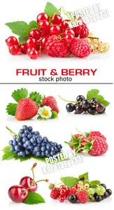 Fruit & berry 2