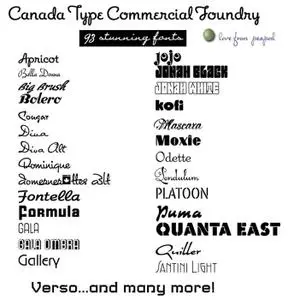 Canada Type Commercial Foundry