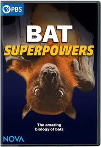 PBS - Nova : Bat Superpowers (2021)