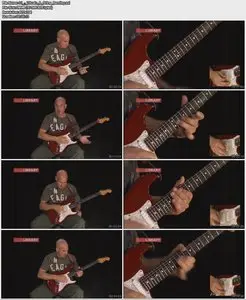 Lick Library - Quick Licks - Up Tempo Blues Shuffle - BB King