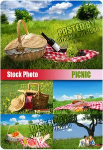 Picnic - UHQ Stock Photo