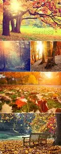 Stock Photo - Autumn Park