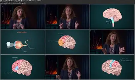 TTC Video - Understanding Disorders of the Brain