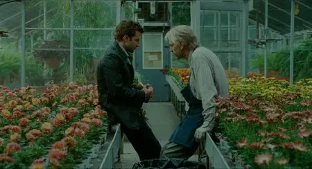 The Words (2012)