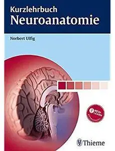 Kurzlehrbuch Neuroanatomie [Repost]