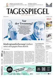 Der Tagesspiegel - 29 August 2023