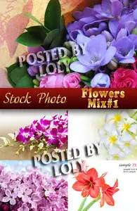 Flowers Mix #1 - Stock Photo