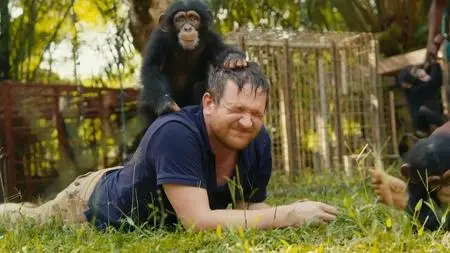 BBC - Baby Chimp Rescue (2020)