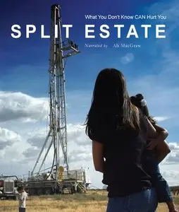 Red Rock Pictures - Split Estate (2009)