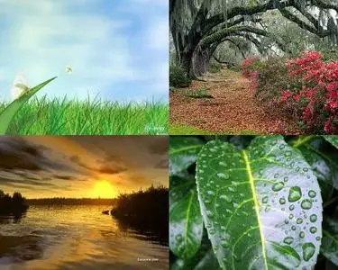 Best Quality Wallpapers 1