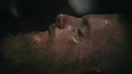Vikings S06E11