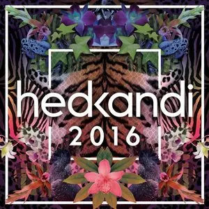 V.A - Hed Kandi 2016 (2015)