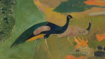 PBS - Paris: The Luminous Years (2010)